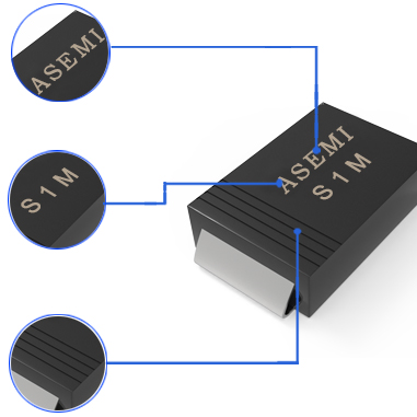 S1M 详解2